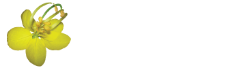 Ramthai